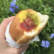 Puka Dog